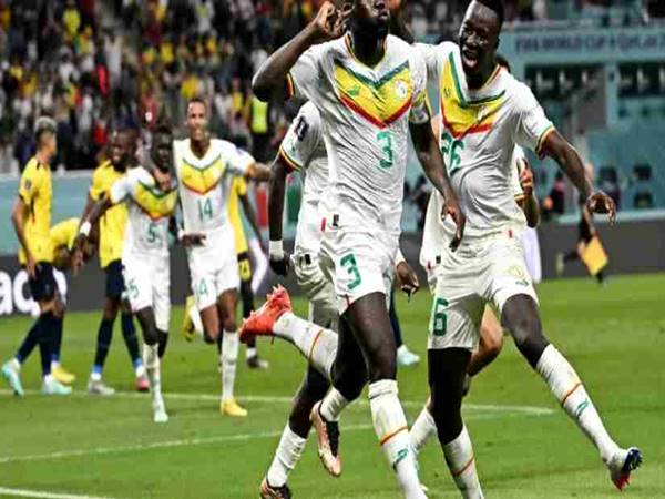 Dự đoán Senegal vs Niger, 01h00 ngày 9/1