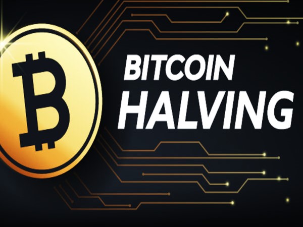 Bitcoin Halving 2024: 5 giai đoạn cần chú ý